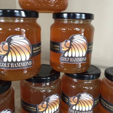 Hammond Golf Honey